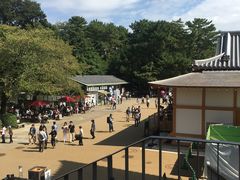 -名古屋城