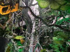 -泉城欧乐堡海洋极地世界