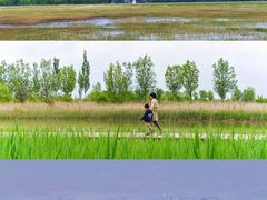 -野鸭湖国家湿地公园