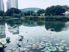 -新江湾城公园