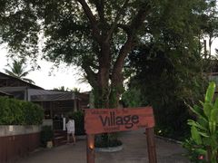 -椰树岛海滩度假村