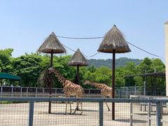 -上方山森林动物世界