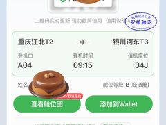 -重庆江北国际机场-T2航站楼