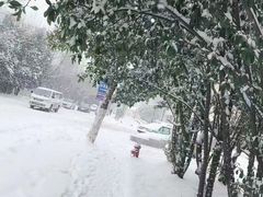 -朴境采耳·足道按摩(科学大道旗舰店)