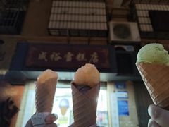 -成裕雪糕店(士多店)