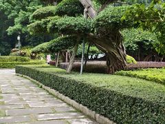 -南宁南湖公园