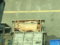 -水乡人家私房菜(逢简店)