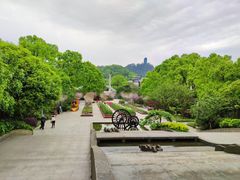 -南山植物园