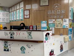 -谐和益家动物医院·免疫绝育·血液透析·宠保定点医院(高新伊藤分院)