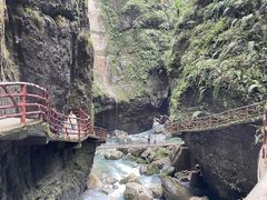 -鹿院坪生态旅游景区