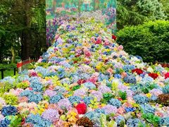 -共青国家森林公园-售票处