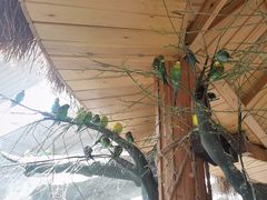 -南宫五洲植物乐园