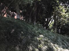-浙江宾馆·花园餐厅·自助餐厅·茶吧