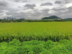 -光明小镇欢乐田园