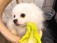 -赞酱川式烤肉(蜀都万达店)