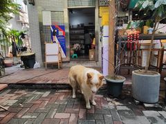 -豆舞咖啡(民乐路店)