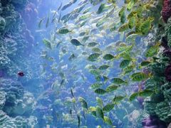 -海合安青岛极地海洋公园