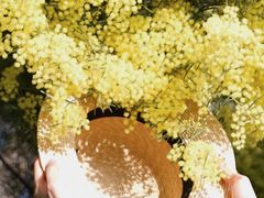 -厦门国家会计学院