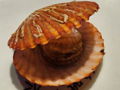 -苏大嘴蒸汽海鲜·海胆蒸饺(中山广场店)