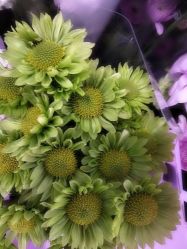 -Oasis Beauty水磨坊科技美肤中心