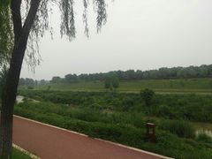 -洨河生态公园