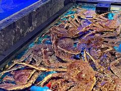 -忆江南·临江鱼馆