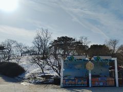 -北京西山国家森林公园