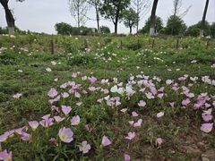 -汉长安城未央宫国家考古遗址公园