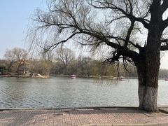 -二一九公园