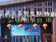 -青藏高原野生动物园