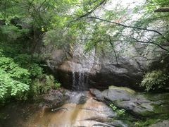 -王顺山国家森林公园
