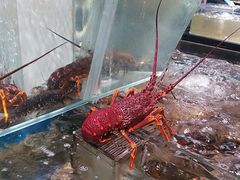 -盒马鲜生(悠方店)