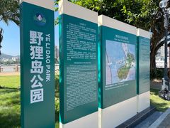 -野狸岛