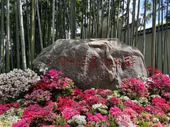 -上海醉白池公园