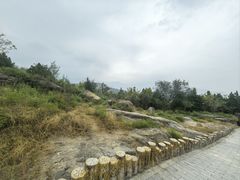 -白水寺森林公园
