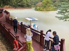 -广州白江湖森林公园