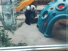 -石家庄市动物园