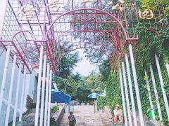 景点-信号山公园