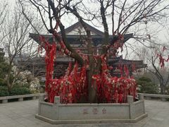 -华清宫景区