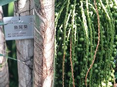 -北京植物园-展览温室