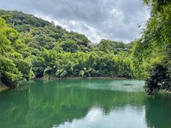 -鼎湖山风景区