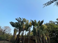 -深圳国际园林花卉博览园