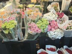 -溪岸路花鸟市场