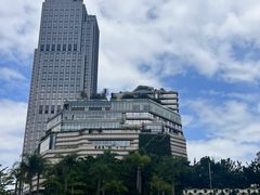 -星光大道
