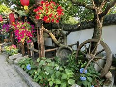 -慢丽江·云南野生菌土鸡锅(西山店)