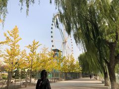 -济南国际园博园