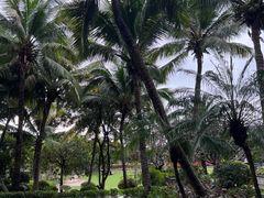 -海南清水湾莱佛士酒店