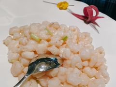 新雅滑虾仁-新雅粤菜馆(南京东路店)