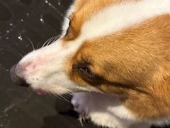 -贰醒·私房小院烧烤 (太古里店)