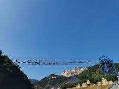 -大芦花风景区